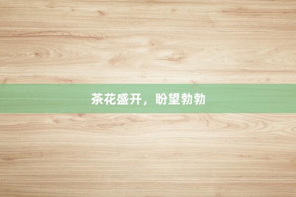 茶花盛开，盼望勃勃