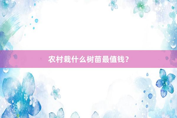 农村栽什么树苗最值钱？