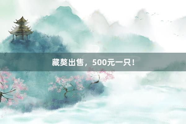 藏獒出售，500元一只！